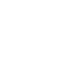 Gem Mine logo